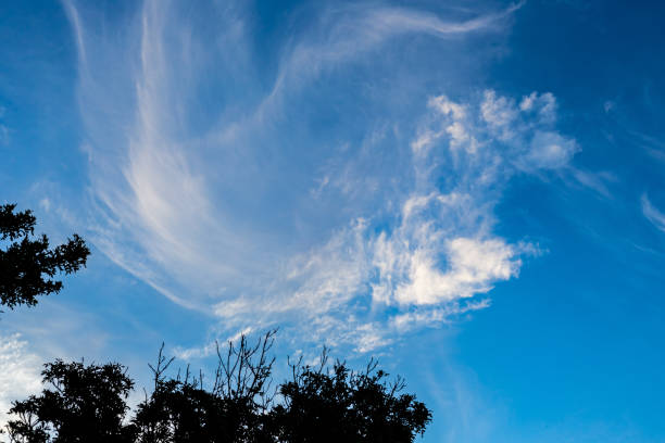istock Cirrus and Stratus clouds in dramatic blue sky over Cape Town 1362536504