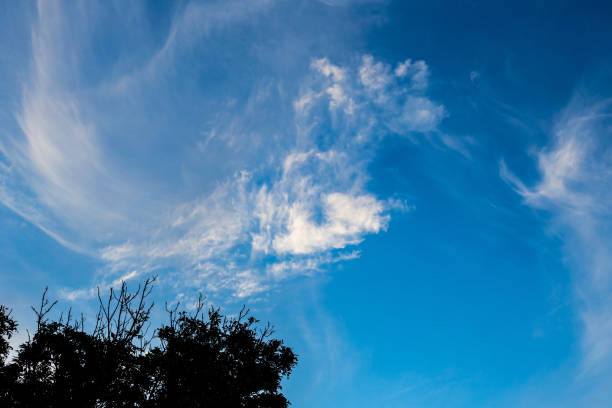 istock Cirrus and Stratus clouds in dramatic blue sky over Cape Town 1362536506