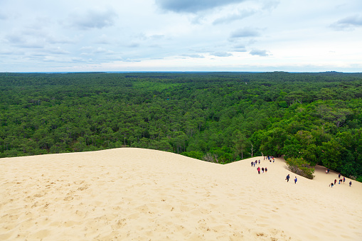 Tourists at Duna Pilat Arcachon in France . Scenery of Green forest and Sandy Duna . La Teste-de-Buch