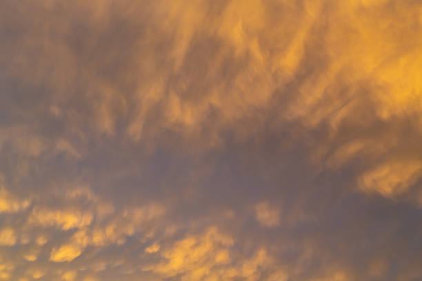 Free Stock Photo of Glowing golden clouds during sunset | Download Free ...