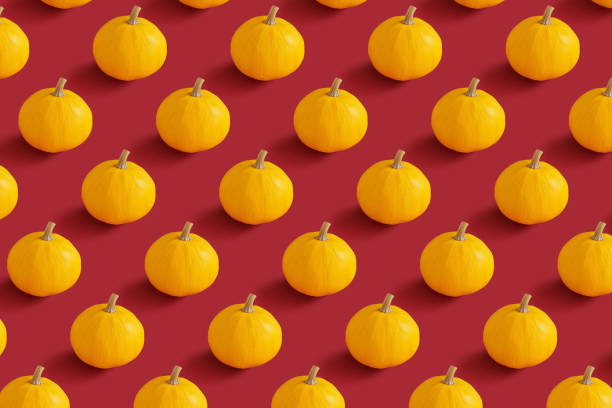 Pumpkin orange background