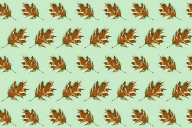 Seamless pattern with golden leaves on light green background. Autumn, fall concept.