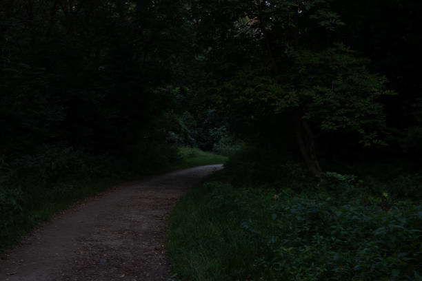 night park trails dirt ground foot path way in darkness dangerous place