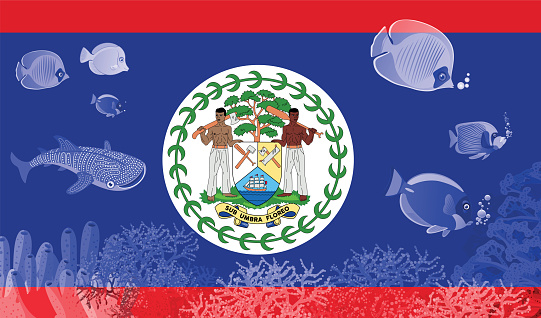 Flag of Belize and tropical fishes