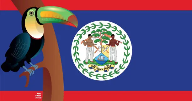 Vector illustration of Flag of Belize and Keel-billed toucan