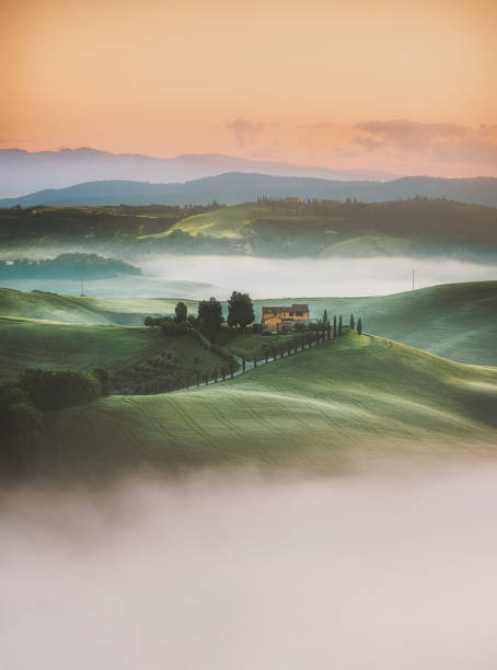 toscane sunrise paysage vue des collines verdoyantes bordées de cyprès italie, europe - pienza tuscany italy landscape photos et images de collection