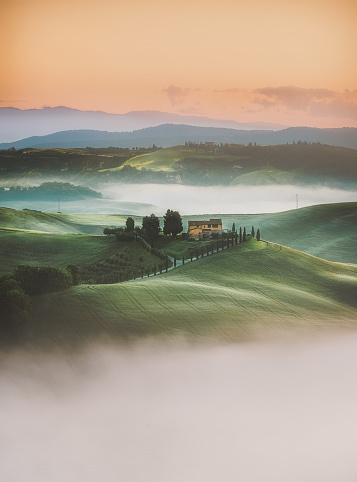 Magical and foggy sunset and rural landscape view of Picturesque agrotourism with characterized green top hill farms of olive groves and vineyards typical curved road with cypress at Crete Senesi in Toscana, Italia, Europe