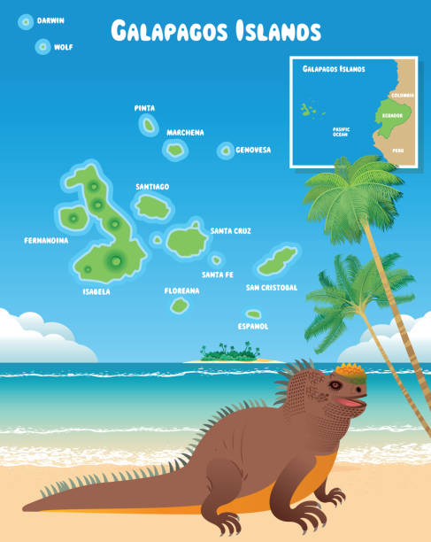 ilustraciones, imágenes clip art, dibujos animados e iconos de stock de islas galápagos e iguana - volcán de cerro azul ecuador
