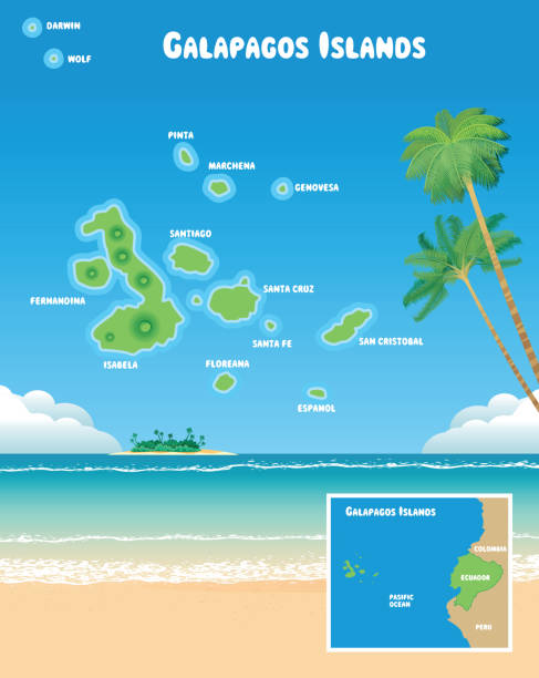 ilustrações, clipart, desenhos animados e ícones de ilhas galápagos - fernandina beach