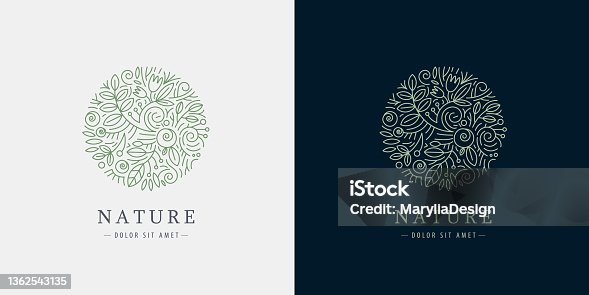 istock Vector linear plant icon. Circle luxury organic emblem. Abstract badge for natural products, flower shop, cosmetics, ecology concepts, health, spa, yoga center. Leaves and florals icon. 1362543135
