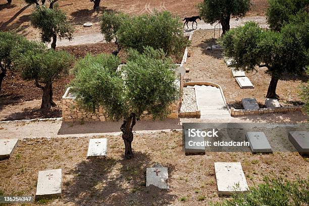 Christian Cimitero Del Monte Degli Ulivi - Fotografie stock e altre immagini di A forma di croce - A forma di croce, Albero, Ambientazione esterna