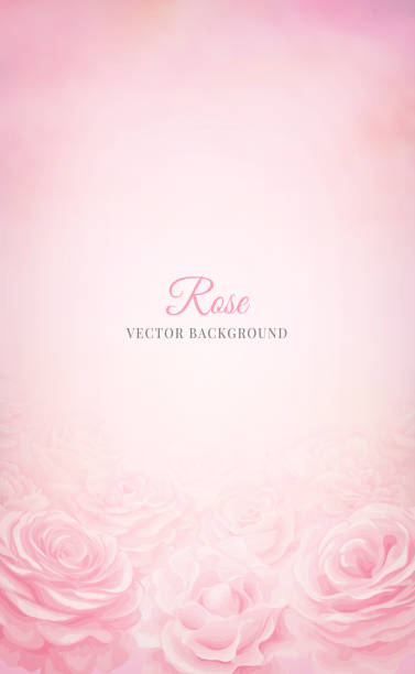 istock Beautiful Rose Flower background and blurred digital painted illustration for love wedding valentines day or arrangement invitation design greeting card 1362544198