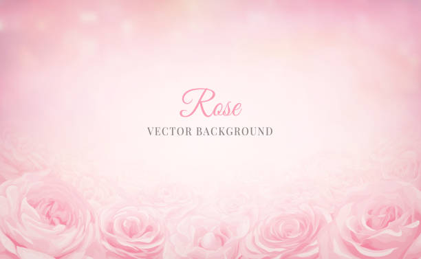 istock Beautiful Rose Flower background and blurred digital painted illustration for love wedding valentines day or arrangement invitation design greeting card 1362544282