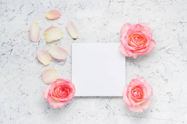 istock Empty card with pink roses and petals 1362544871