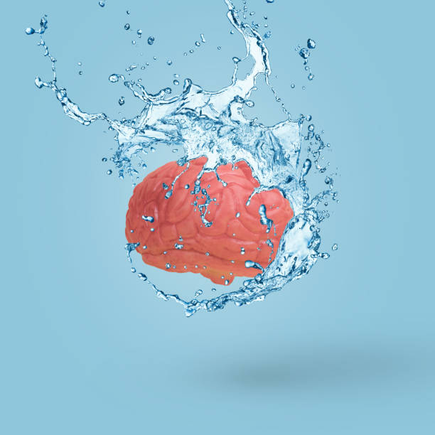 istock Creative minimal scene with a human brain and water splash. 1362545948