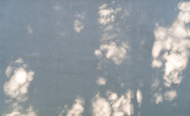 istock Abstract leaves gray shadow background with light bokeh, Abstract gray shadow background of natural leaves tree branch falling on white wall and wallpaper texture 1362546014