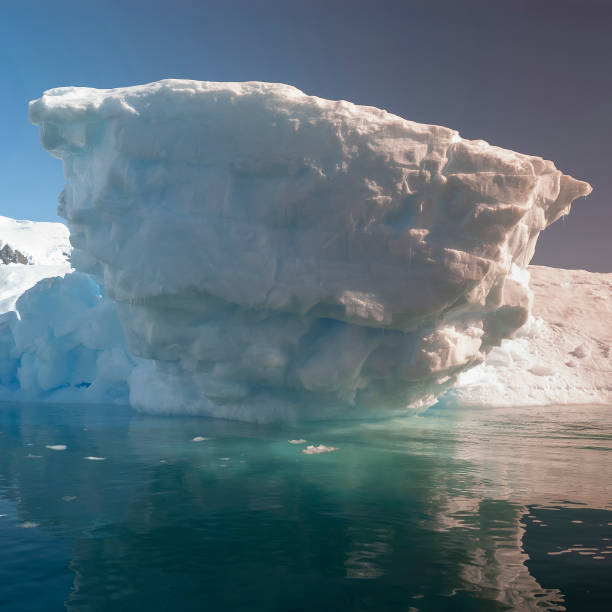 istock Paradise bay glaciers and mountains, 1362546120