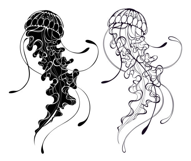 コンタークラゲ - jellyfish点のイラスト素材／クリップアート素材／マンガ素材／アイコン素材