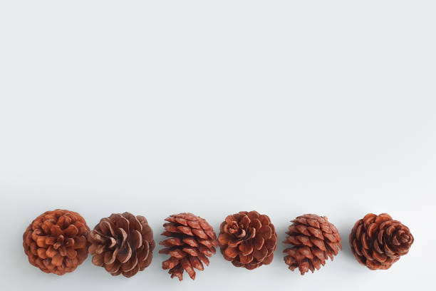 istock Spruce cones line / border on white background. Top view, Christmas frame. 1362546232