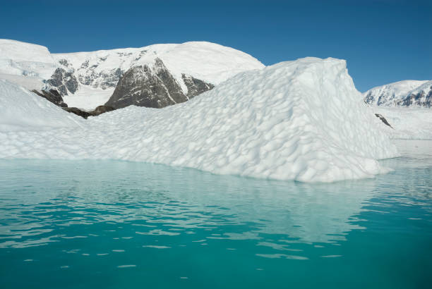 istock Paradise bay glaciers and mountains, 1362549552