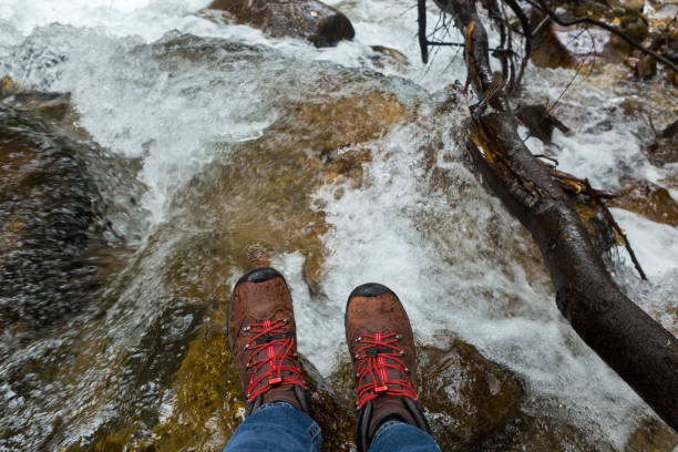 istock Women's feet in trekking boots 1362550680