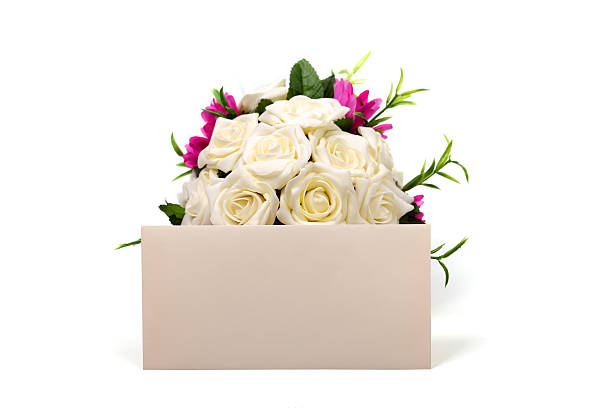 A stunning bouquet of soft pink flowers is delicately arranged against a vibrant pink background, highlighting the lush textures and vivid colors, perfect for appealing to those who adore floral beauty.