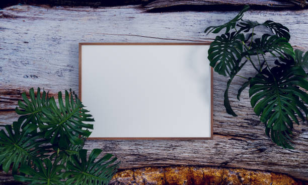 istock Nature mock up with white board in cleaning room 1362552669