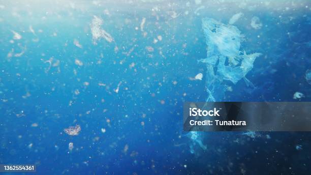 Detailed Photography Of Sea Water Contaminated With Micro Plastic Environment Pollution Concept Stock Photo - Download Image Now