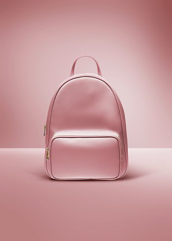 Cut out image of a studio shot pink color backpack on a pink background