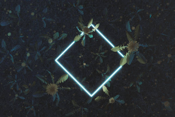 istock 3d rendering of rotated white square neon light covered by dandelion plants. Flat lay of minimal nature style concept 1362555514