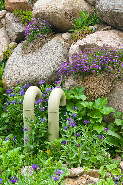 istock Pipes and Purple Flowers 136255567