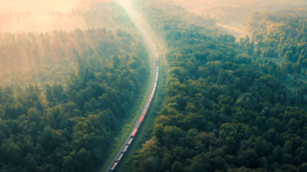 Cargo Train rides through the forest in the fog at dawn on a summer morning - aerial shot Cargo Train in summer morning forest at fog sunrise. Aerial view of moving freight train in forest. Morning mist landscape with train, railroad, foggy trees. Top aerial drone view near railway. freight train stock pictures, royalty-free photos & images