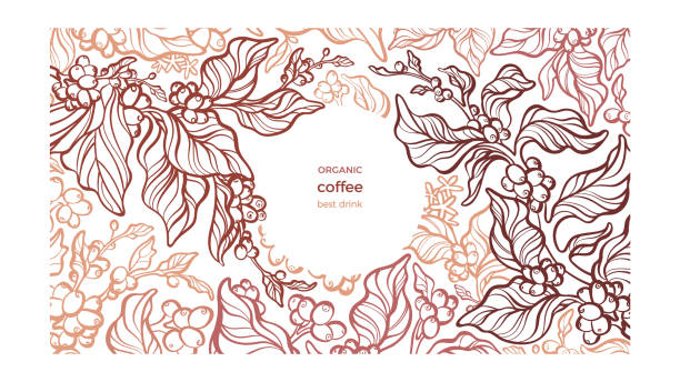 stockillustraties, clipart, cartoons en iconen met coffee template. graphic plantation, branch, bean - cafe