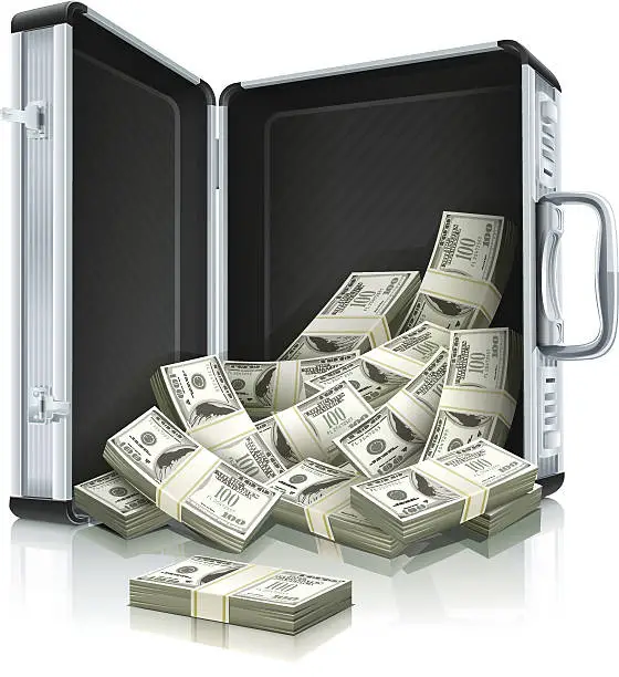 Vector illustration of case with dollars money concept
