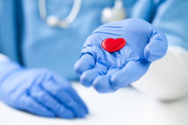 red plush heart on medical specialists open palm - nurse illness doctor heart disease imagens e fotografias de stock