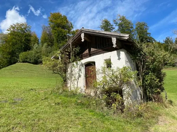 Autumn in the Alps