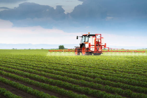 istock Tractor spraying soy field in sunset. 1362571495