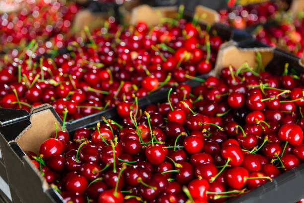 istock Photo of fresh cherries 1362573814