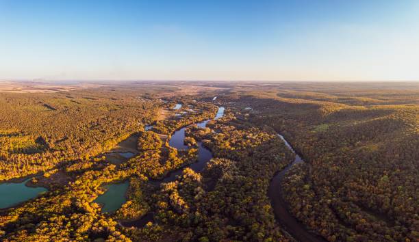 istock River branches running among forestry landscape in autumn 1362575394