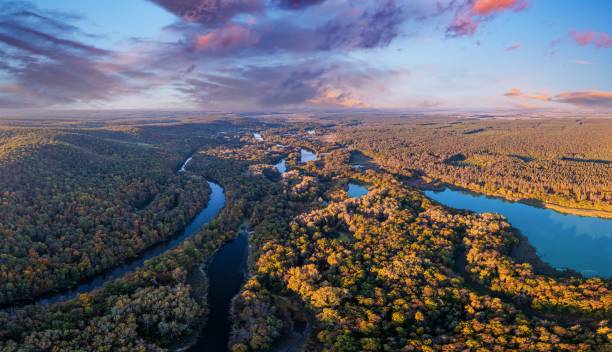 istock River branches running among forestry landscape in autumn 1362576445