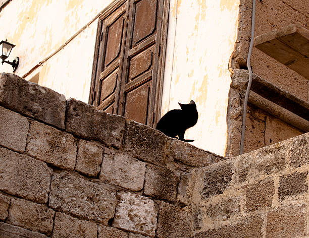 istock black cat in rhodes 136257847