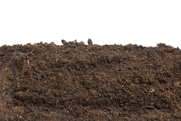 istock Soil for plant isolated on white background. 1362579678