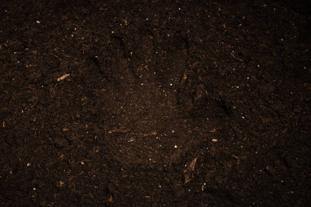 istock Woman hand trace on a ground. 1362579685