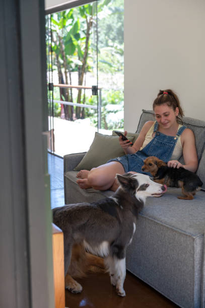 istock woman on the sofa, petting a dog and using a cell phone. 1362584473