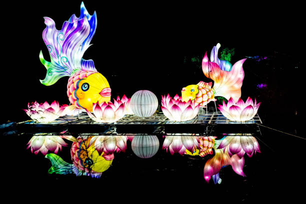 Lightopia lantern and light festival London, Crystal Palace Park, United Kingdom - December 22, 2021: Lightopia lantern and light festival. Fish installation with water reflactions borough of bromley photos stock pictures, royalty-free photos & images
