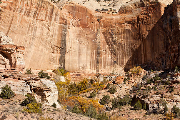 istock Calf Creek Canyon 136258870