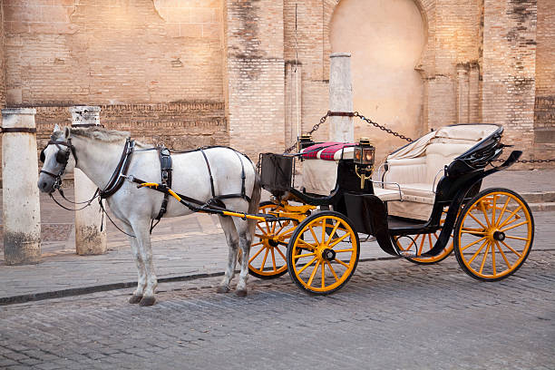 Cтоковое фото Белая лошадь и перевозки. Sevilla. Испания