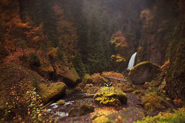istock Tilt-Shifted Autumn Waterfall 136259222