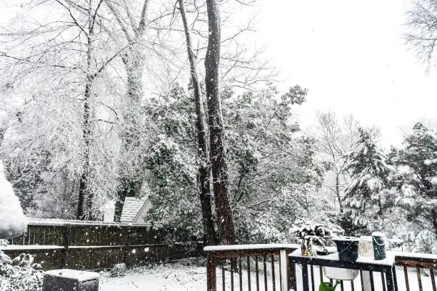 Photo of Snowy backyard scene with snow covered trees