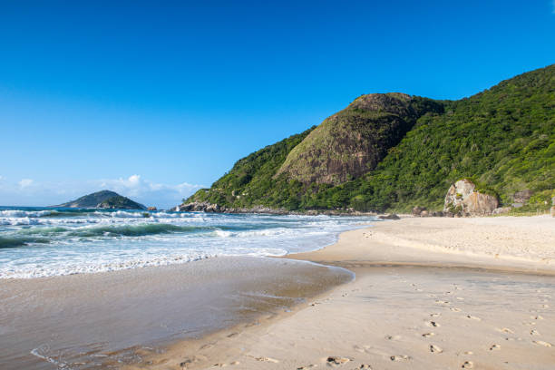 istock Prainha Beach - Grumari, Rio de Janeiro 1362593744